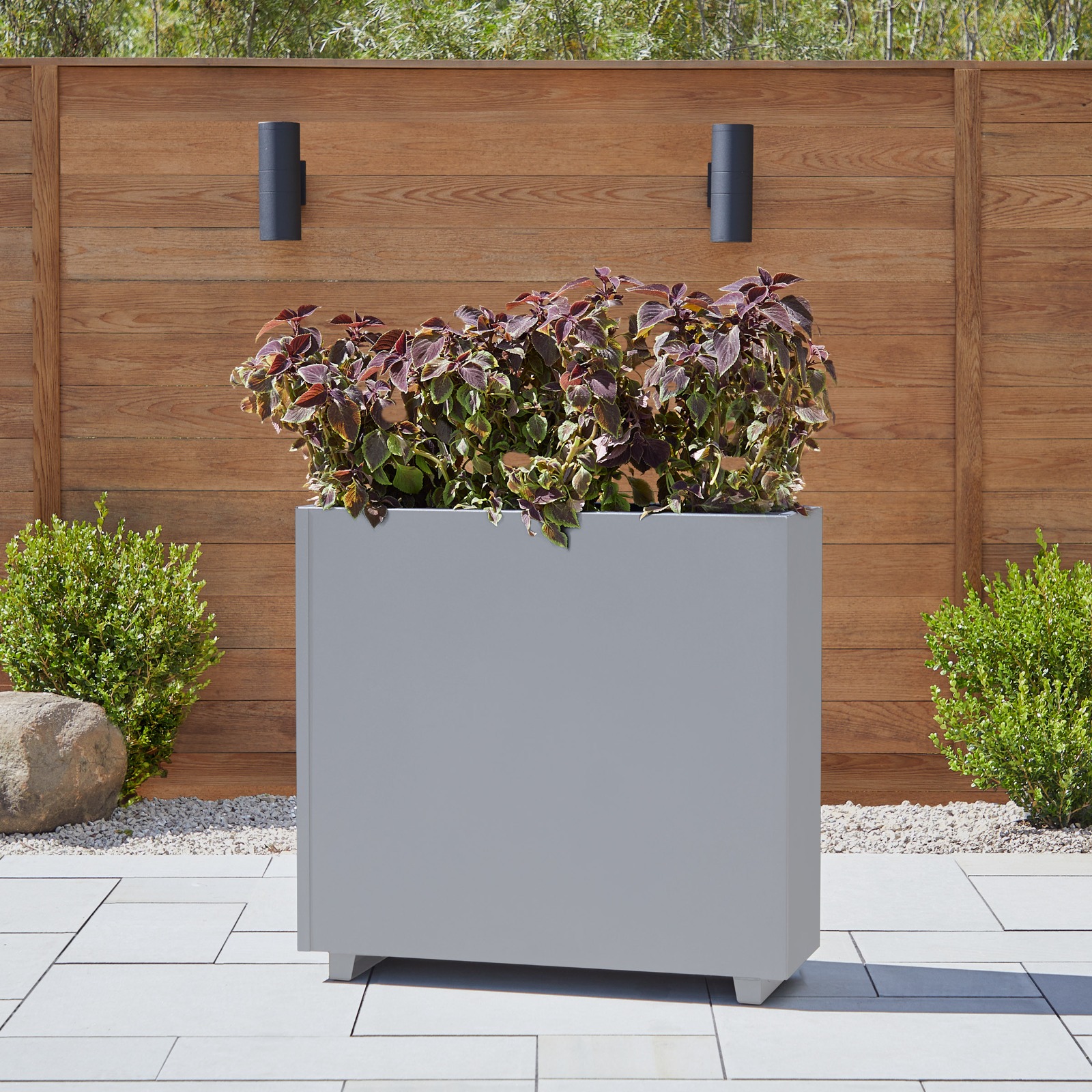 Pacifica Tall Steel Indoor or Outdoor Steel  Planter